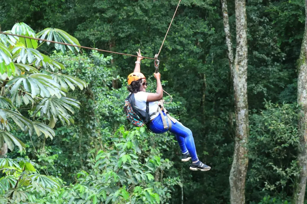 A person in a helmet and harness riding a zip line through forest. Illustrative photograph.